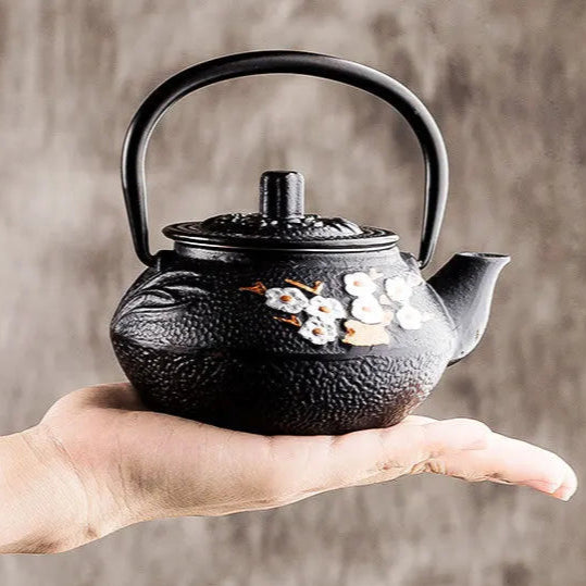 Théière japonaise en fonte avec filtre Deluxe 300 - 800ml Ma Théière