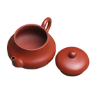 Mini théière japonaise en argile avec filtre - 130ml