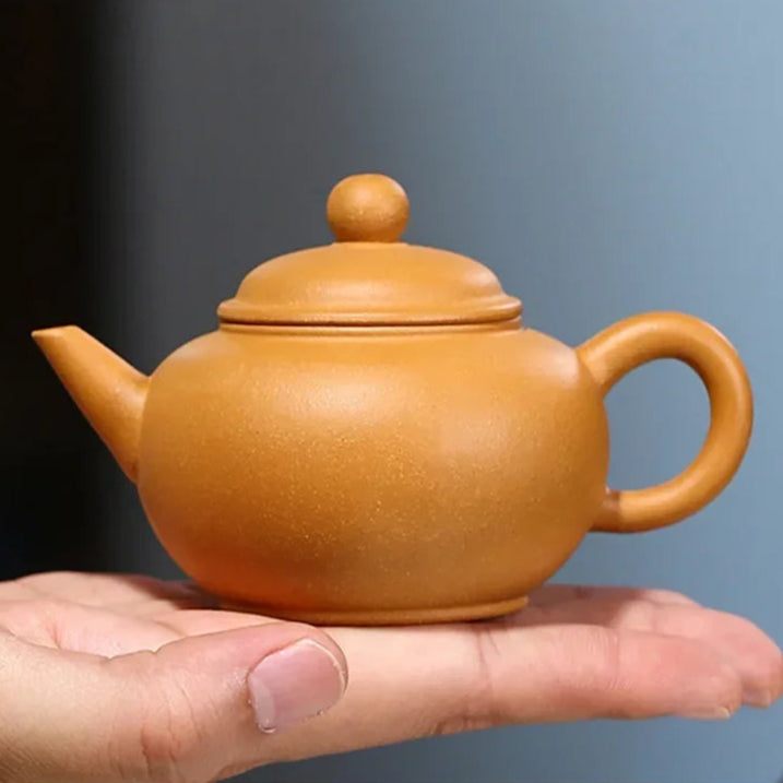 Théière en argile chinoise avec boule de filtration - 100ML 100ML Ma Théière