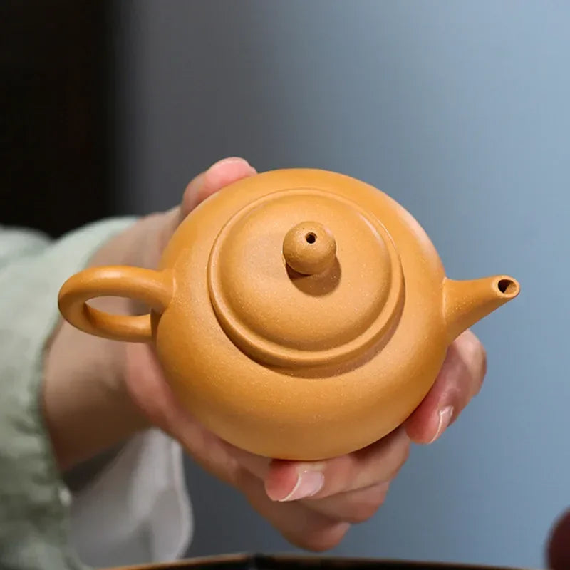 Théière en argile chinoise avec boule de filtration - 100ML 100ML Ma Théière