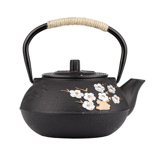 Théière japonaise en fonte avec filtre Deluxe 300 - 800ml Ma Théière