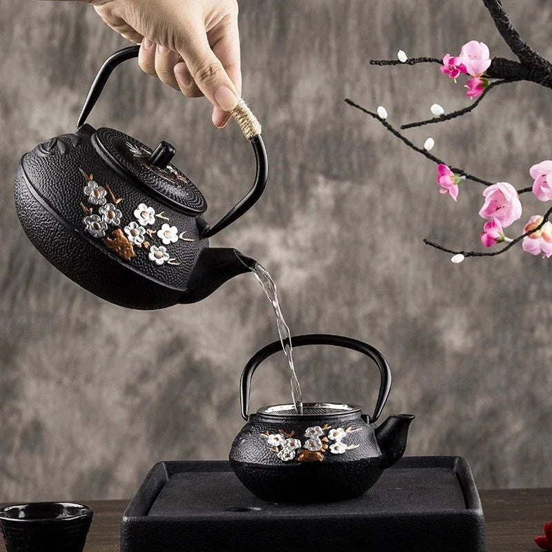 Théière japonaise en fonte avec filtre Deluxe 300 - 800ml Ma Théière