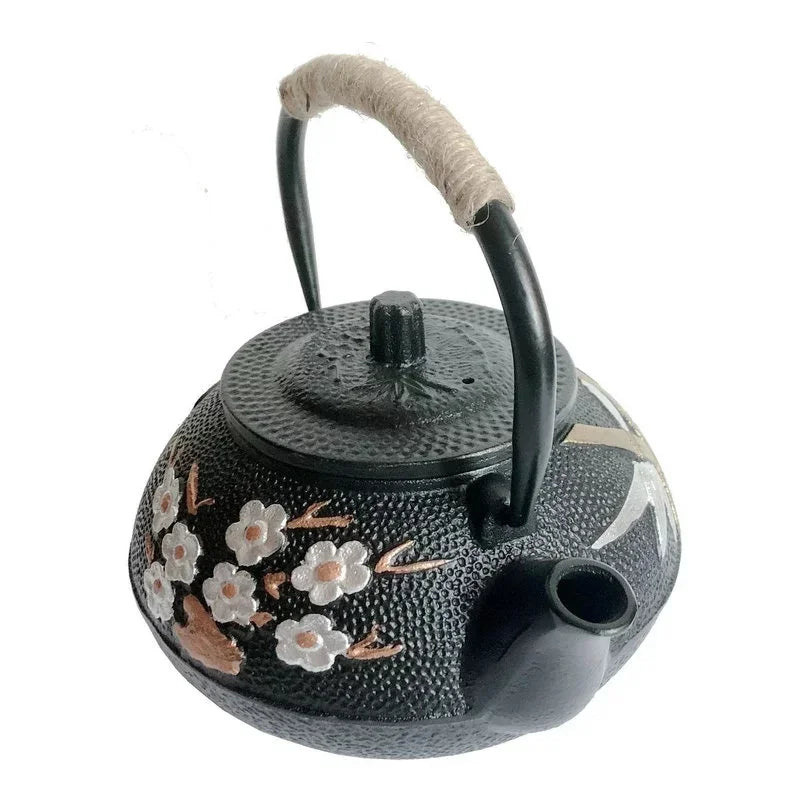 Théière japonaise en fonte avec filtre Deluxe 300 - 800ml Ma Théière